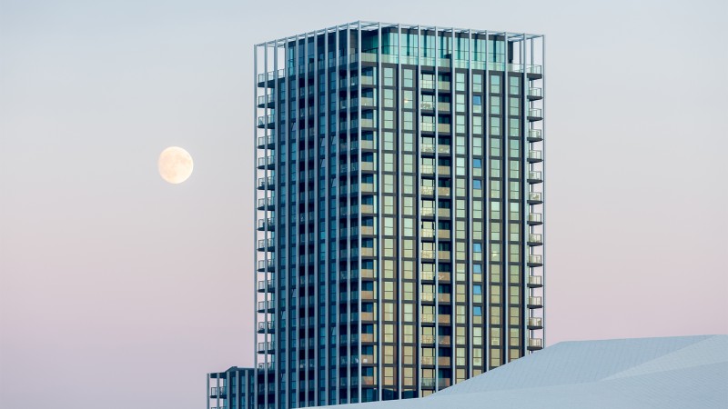 2 B Mine Web Patrick Coerse