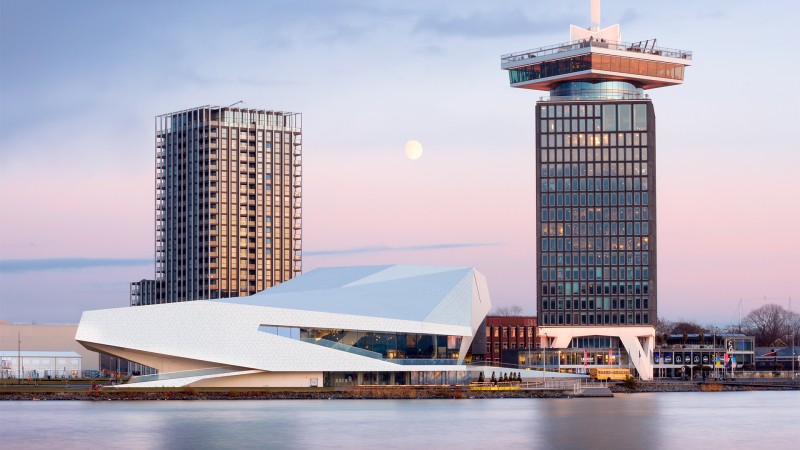 B Mine Web Patrick Coerse