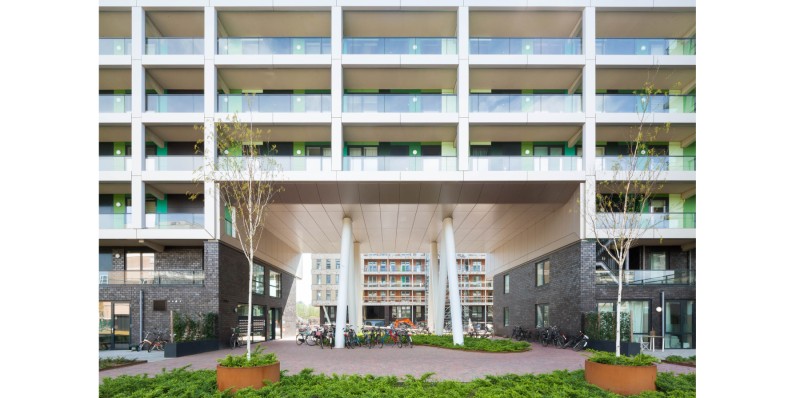 1331 Sonia Arrepia t Woud T web 13 crop