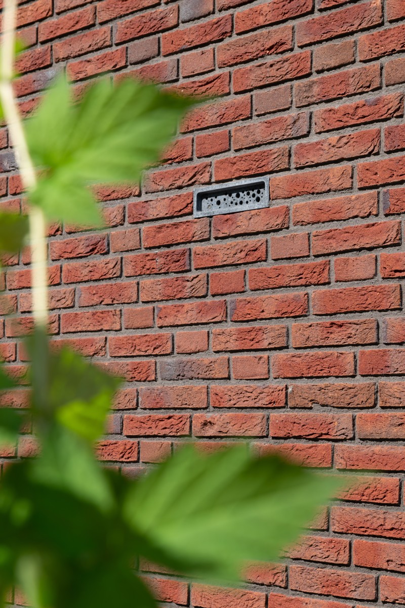 6 Aiste Rakauskaite 1 web