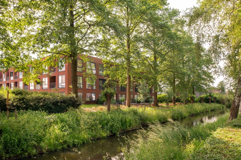 7 Aiste Rakauskaite 13 web