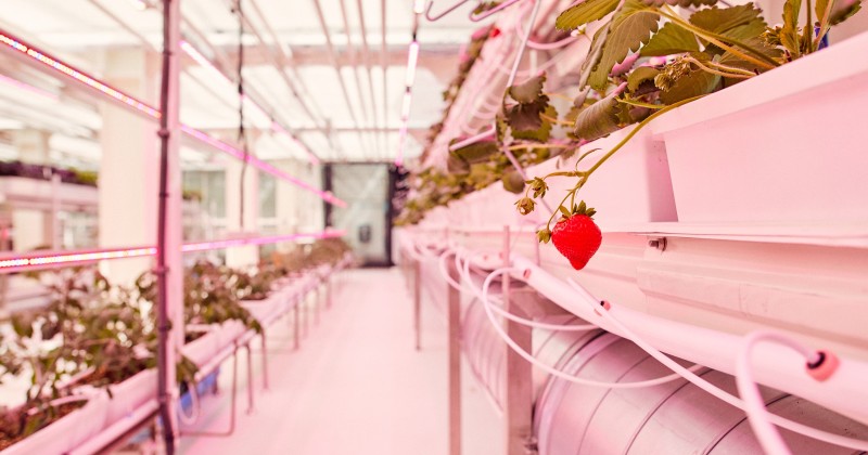 0932 Hotel Ruby Emma PDR Architects en Mulderblauw Architecten Todays Brew Kitchen Garden II