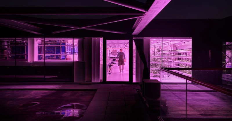 0932 Hotel Ruby Emma PDR Architects en Mulderblauw architecten Todays Brew Kitchen Garden VIII 5895