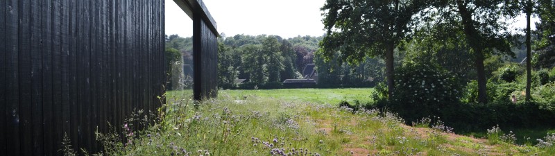 1037 Pd R Andrew van Egmond BLAD Schoorl B23