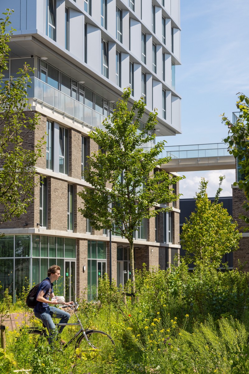 1718 LBSP More 2 Paul de Ruiter Architects Luuk Kramer 59 2