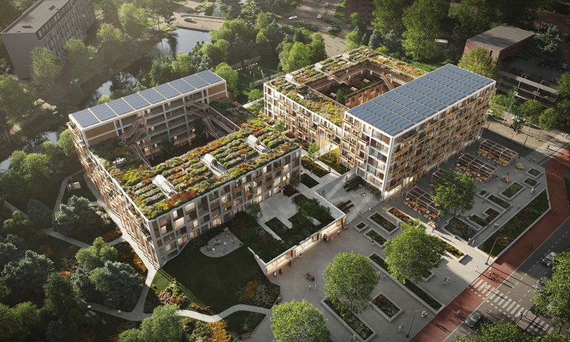 Tatami Homes Render PDR 3 Lowres