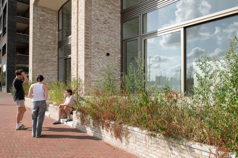 Lloyd Yard Aiste Rakauskaite 22