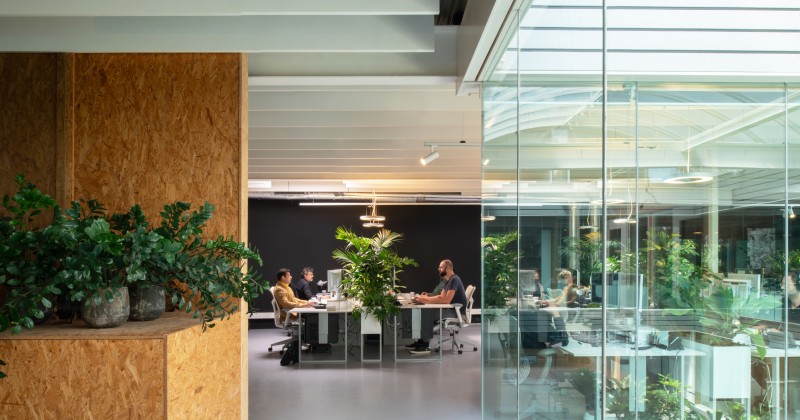 Aiste Rakauskaite 11