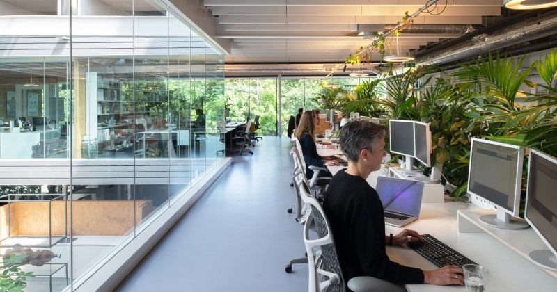 Aiste Rakauskaite 12