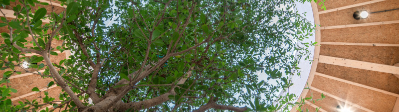 1628 Biosintrum Paul de Ruiter Architects Egbert de Boer 02159