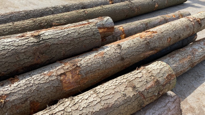 Photo 16 04 2021 14 31 57