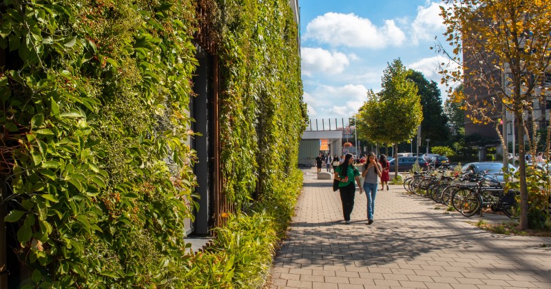 0516 Aiste Rakauskaite 6 web