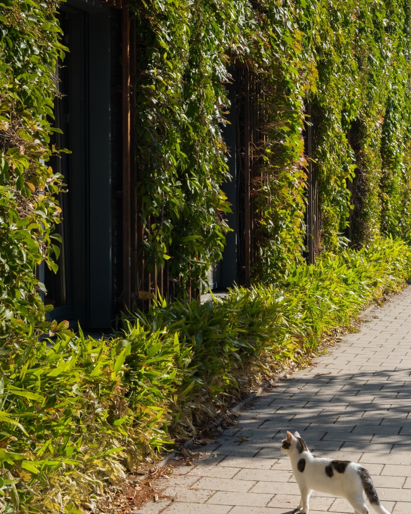 0516 Aiste Rakauskaite 4