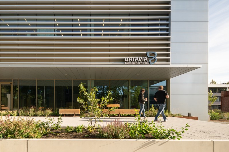 Low res Aiste Rakauskaite 2