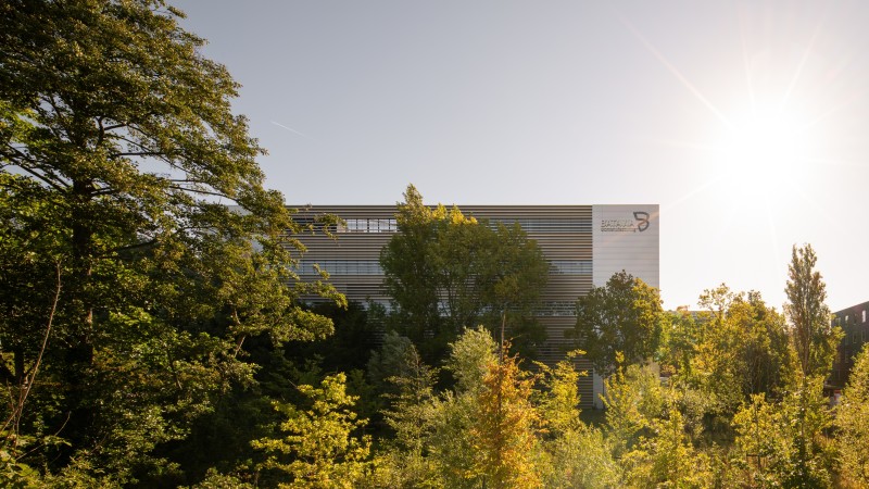 Low res Aiste Rakauskaite 4