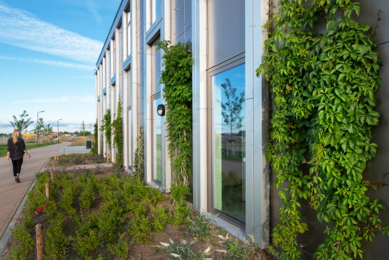 Aiste Rakauskaite 20