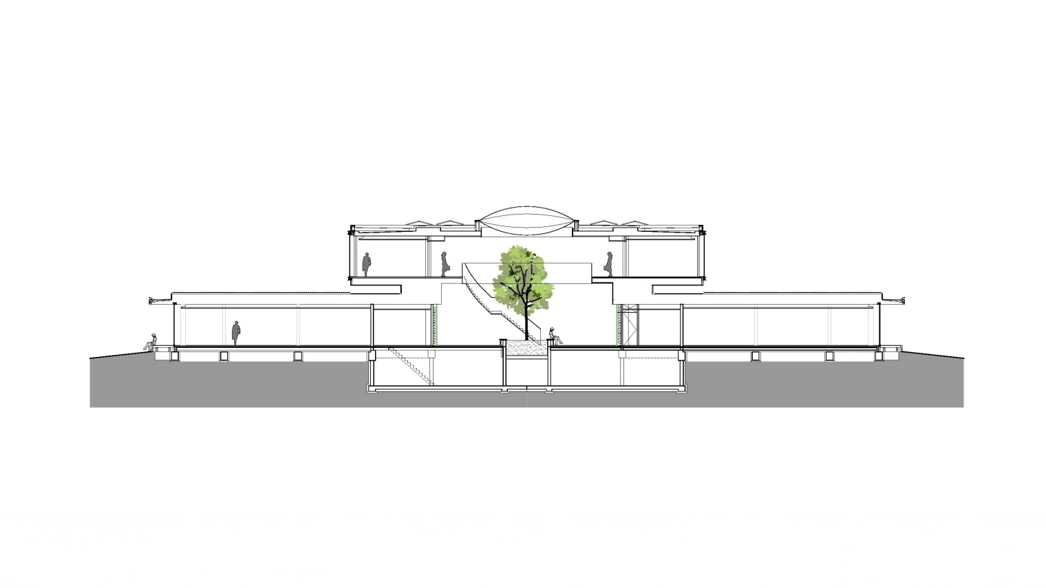 1629 Krinkels doorsnede 2 web