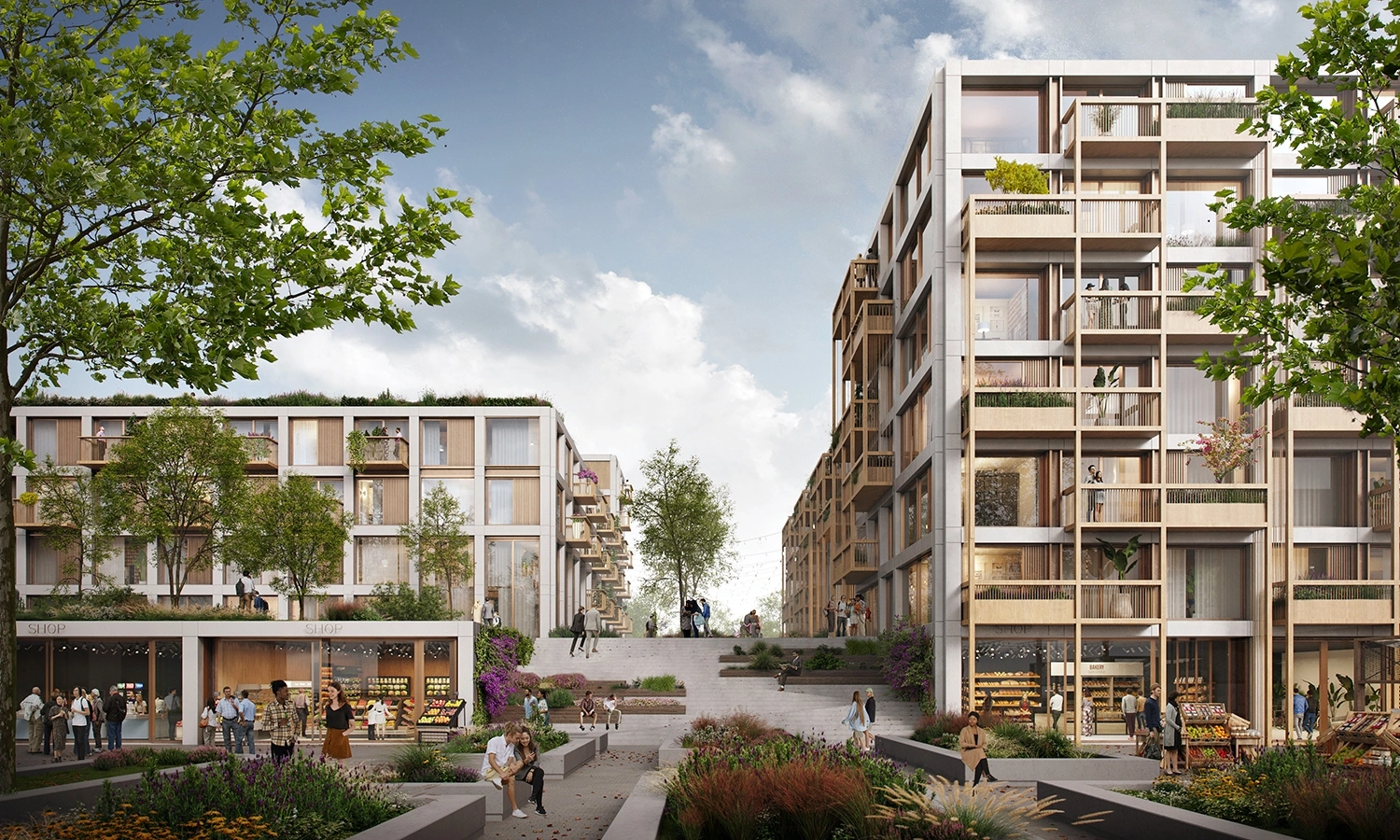 Tatami Homes Render PDR 2 Lowres