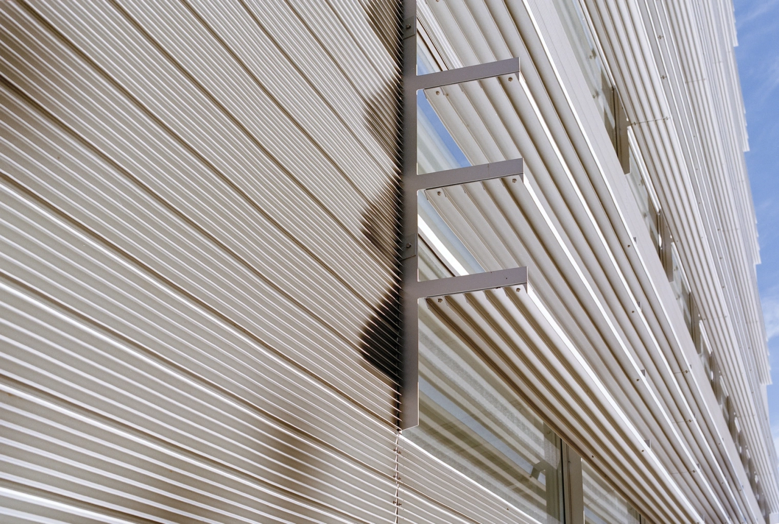 9912 209066 Rien van Rijthoven