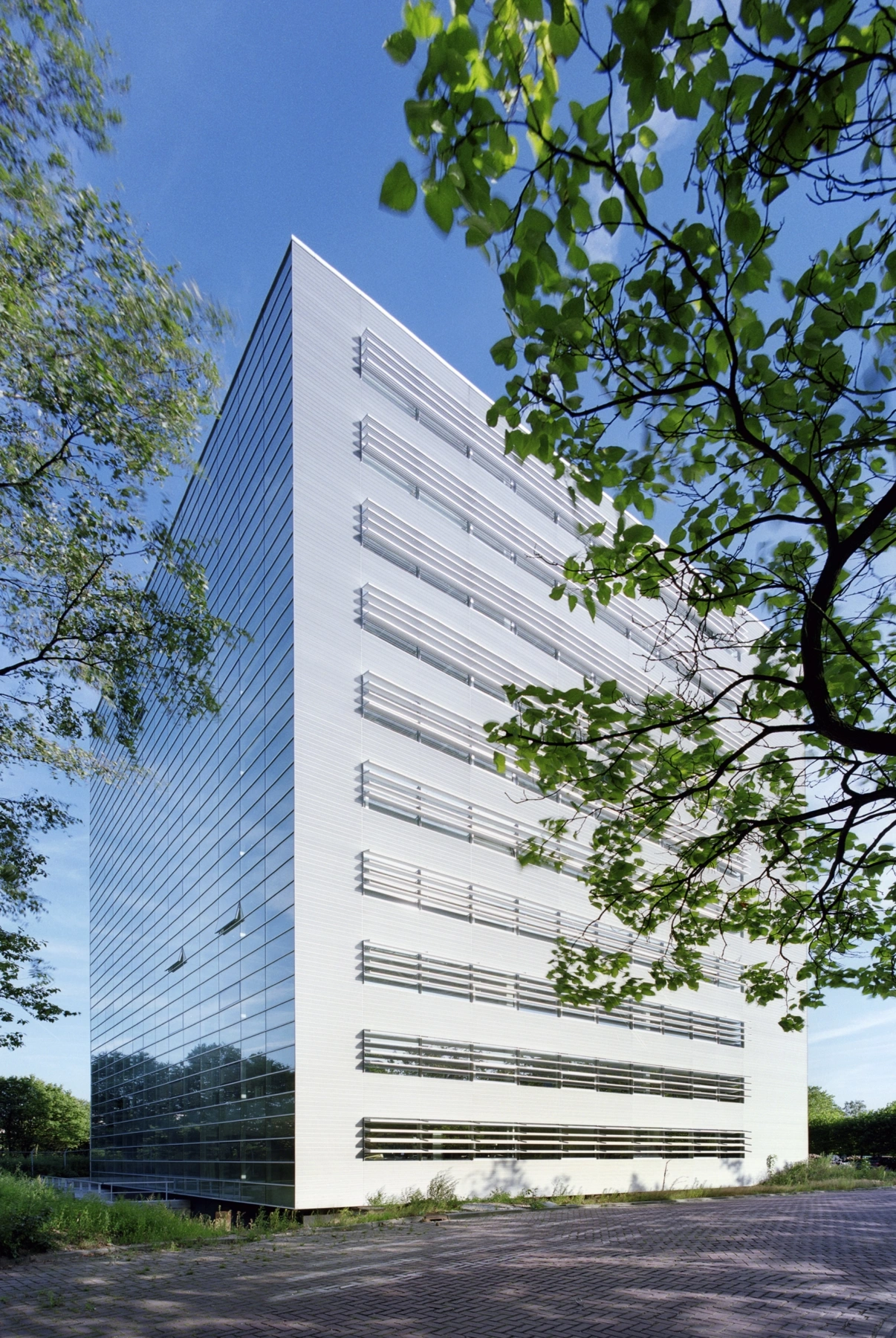 9912 mercator Rien van Rijthoven