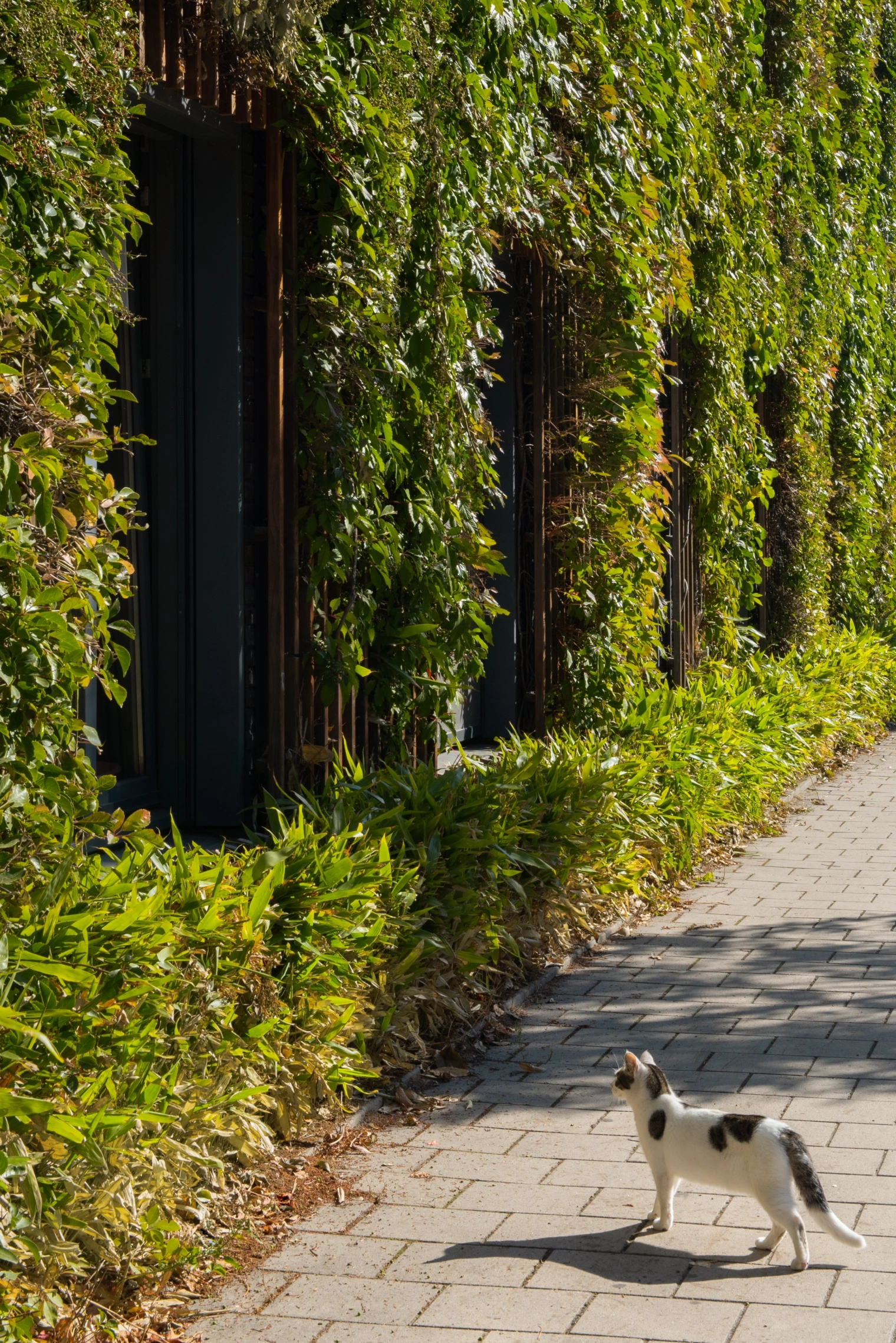 0516 Aiste Rakauskaite 4