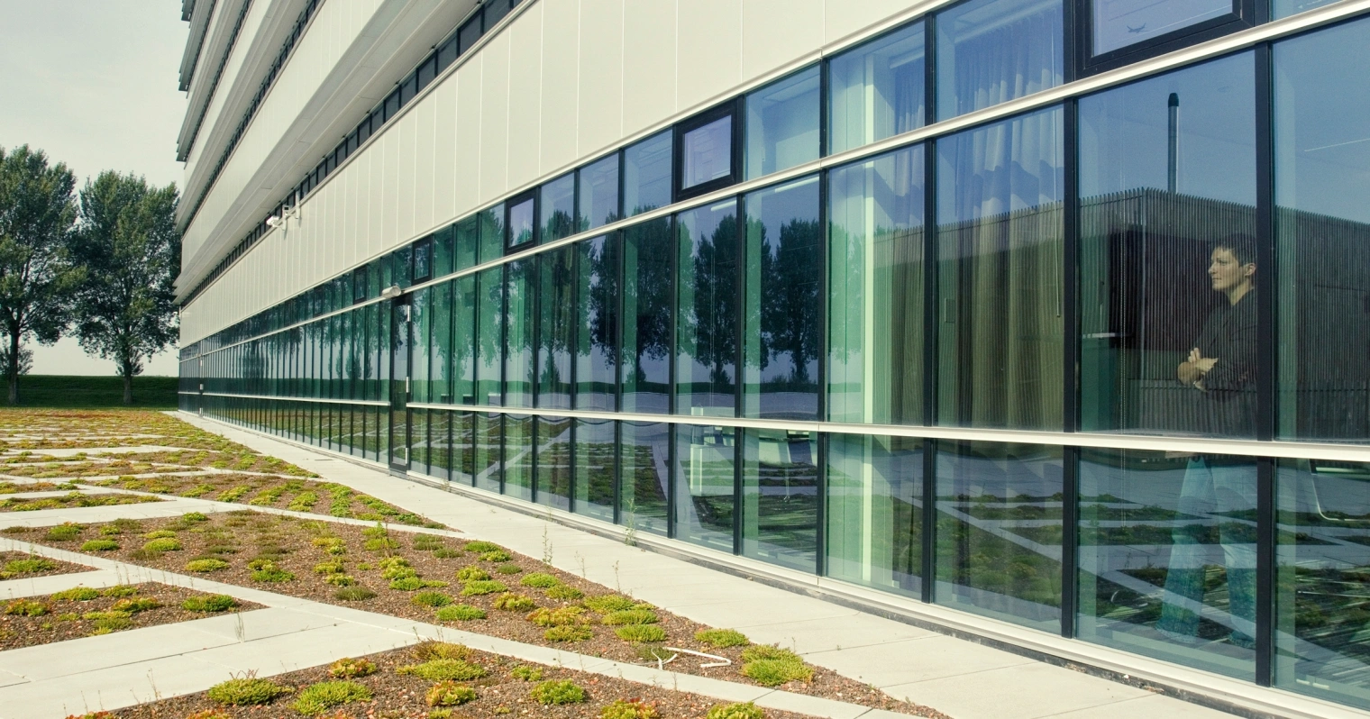 0715 PDR TNT Bowie Verschuuren hres 0733