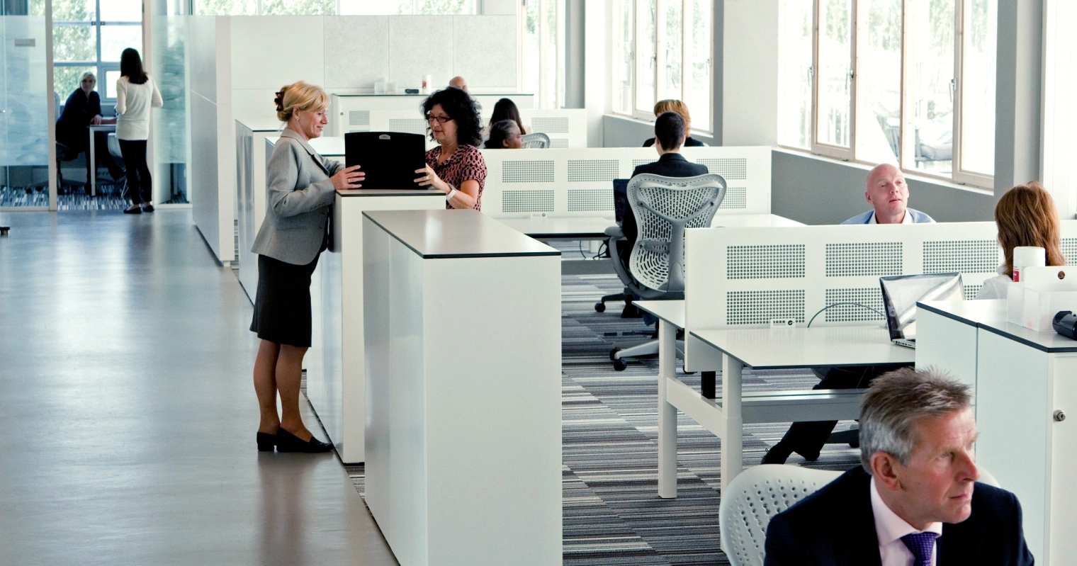 0715 PDR TNT Bowie Verschuuren hres 0929