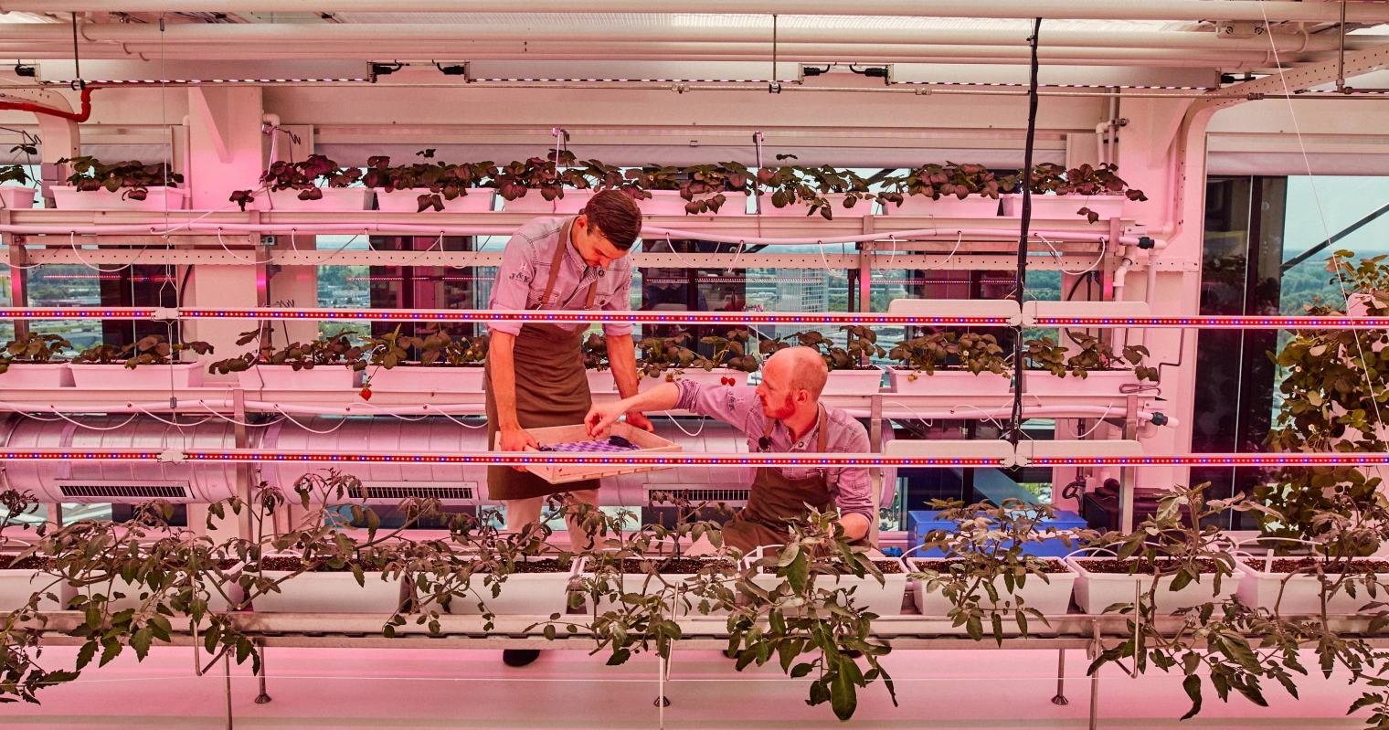 0932 Hotel Ruby Emma PDR Architects en Mulderblauw Architecten Todays Brew Kitchen Garden I