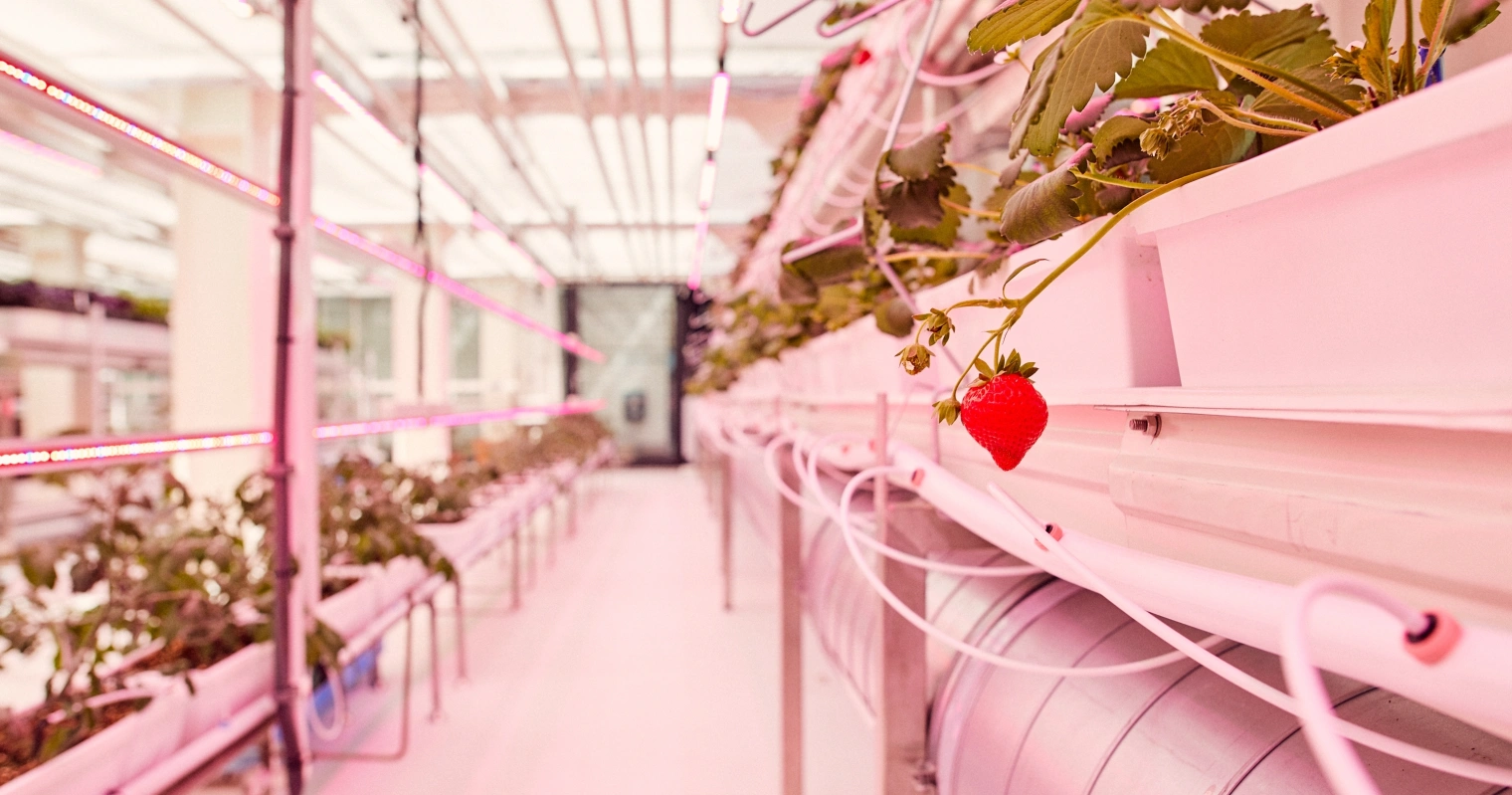 0932 Hotel Ruby Emma PDR Architects en Mulderblauw Architecten Todays Brew Kitchen Garden II