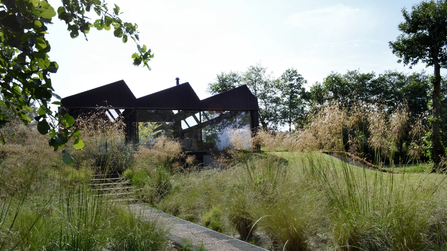 1037 Pd R Andrew van Egmond BLAD Schoorl B17 2