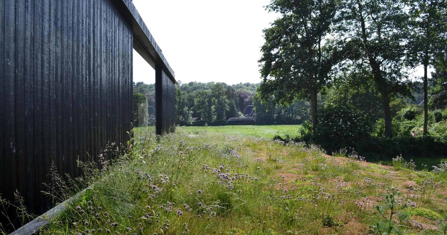 1037 Pd R Andrew van Egmond BLAD Schoorl B23 2