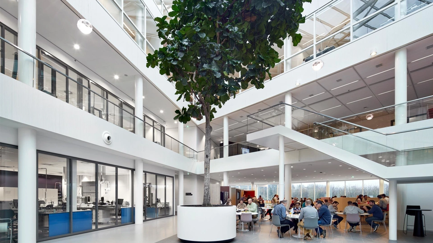 3 Avery Dennison image