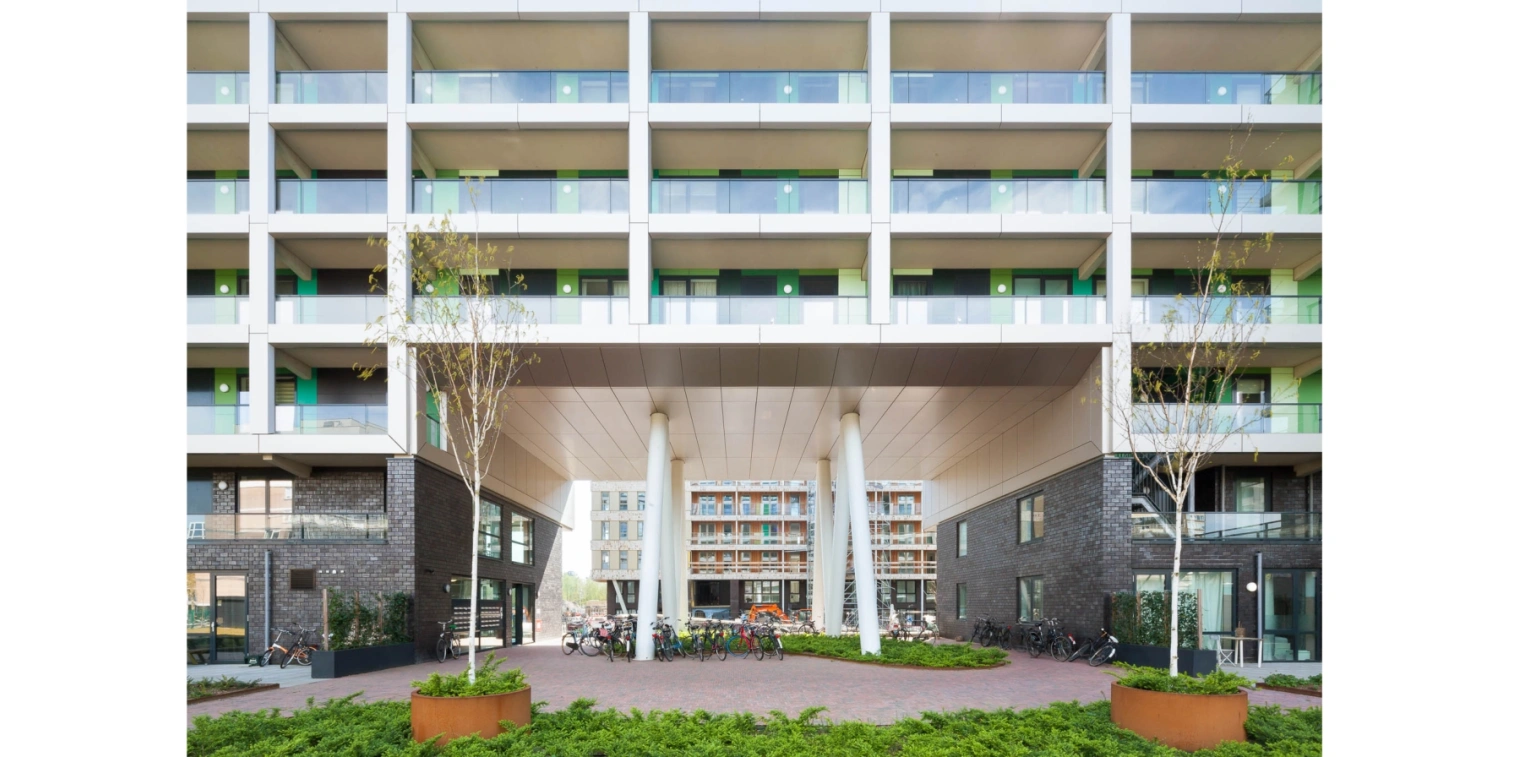 1331 Sonia Arrepia t Woud T web 13 crop