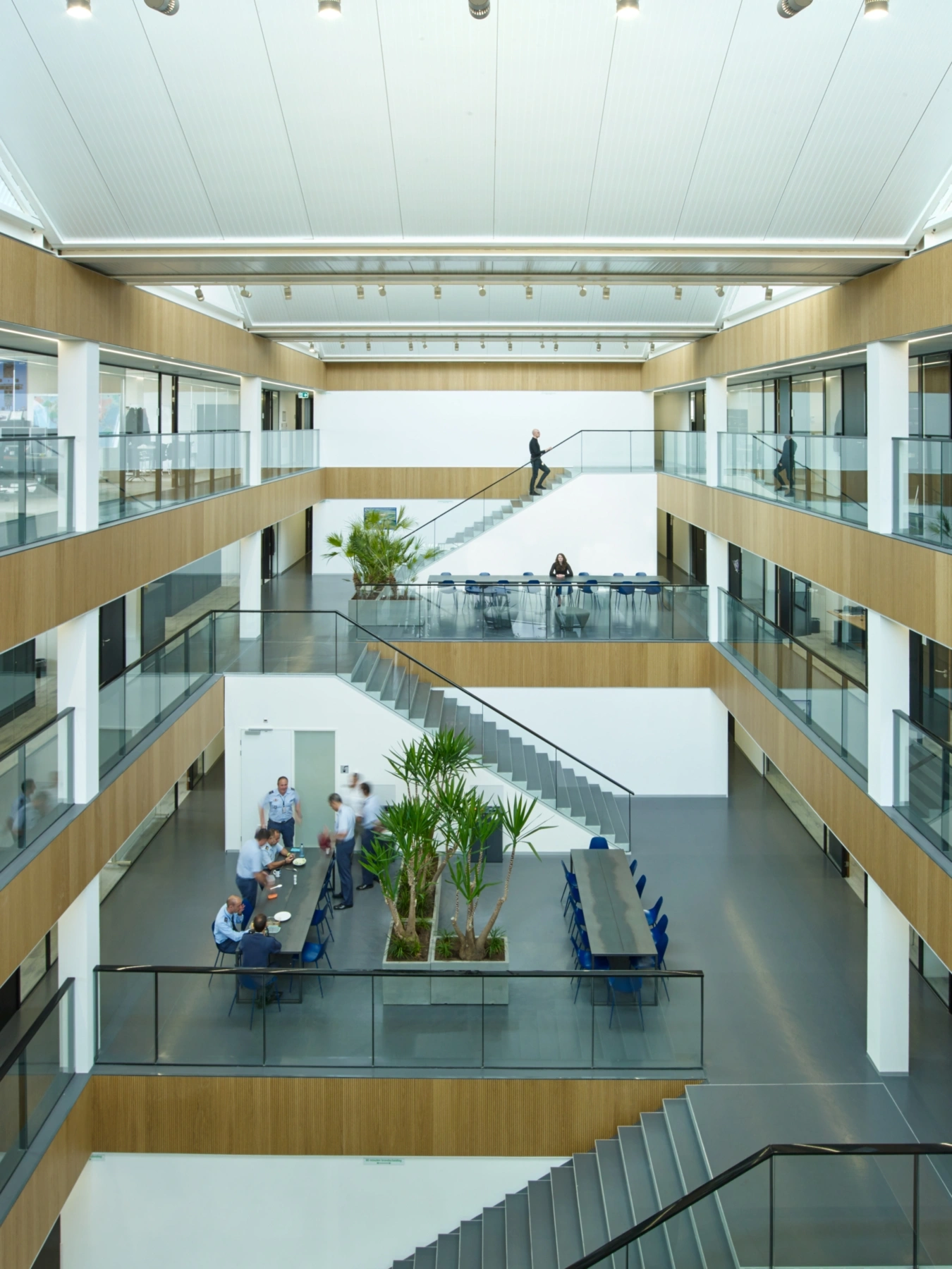 1424 Jeroen Much nw2 CF075144