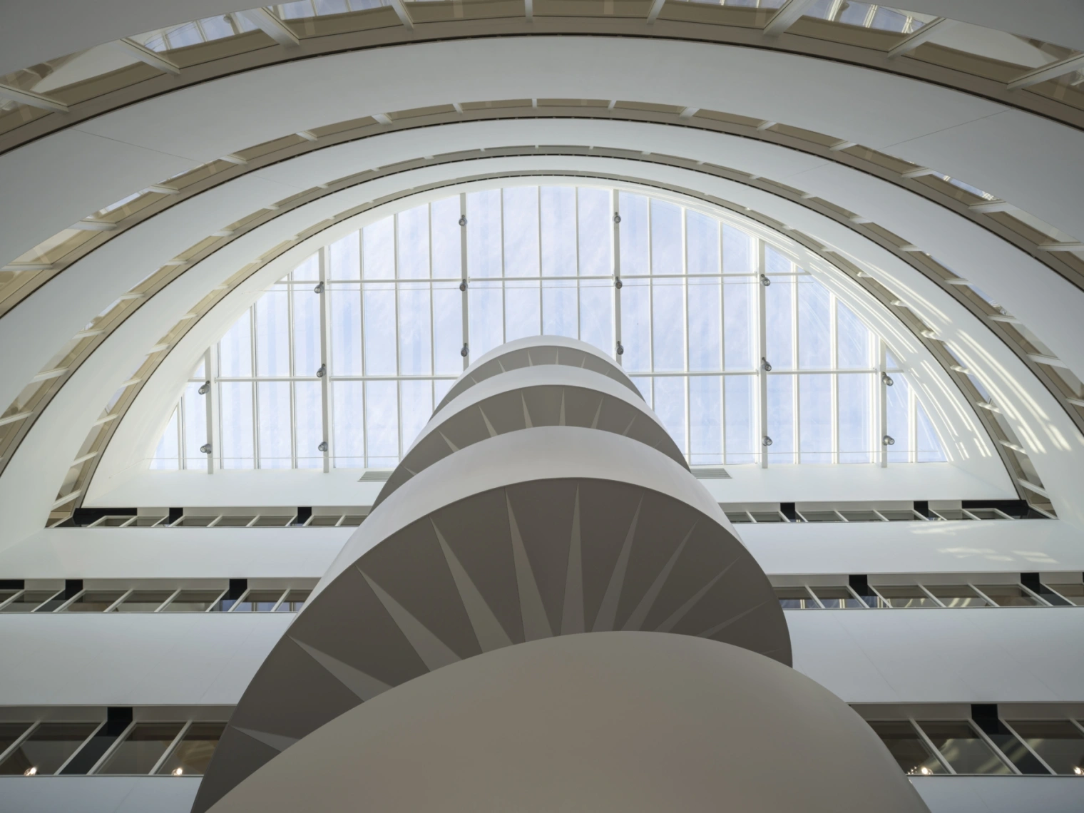 15 Royal Flora Holland Ossip