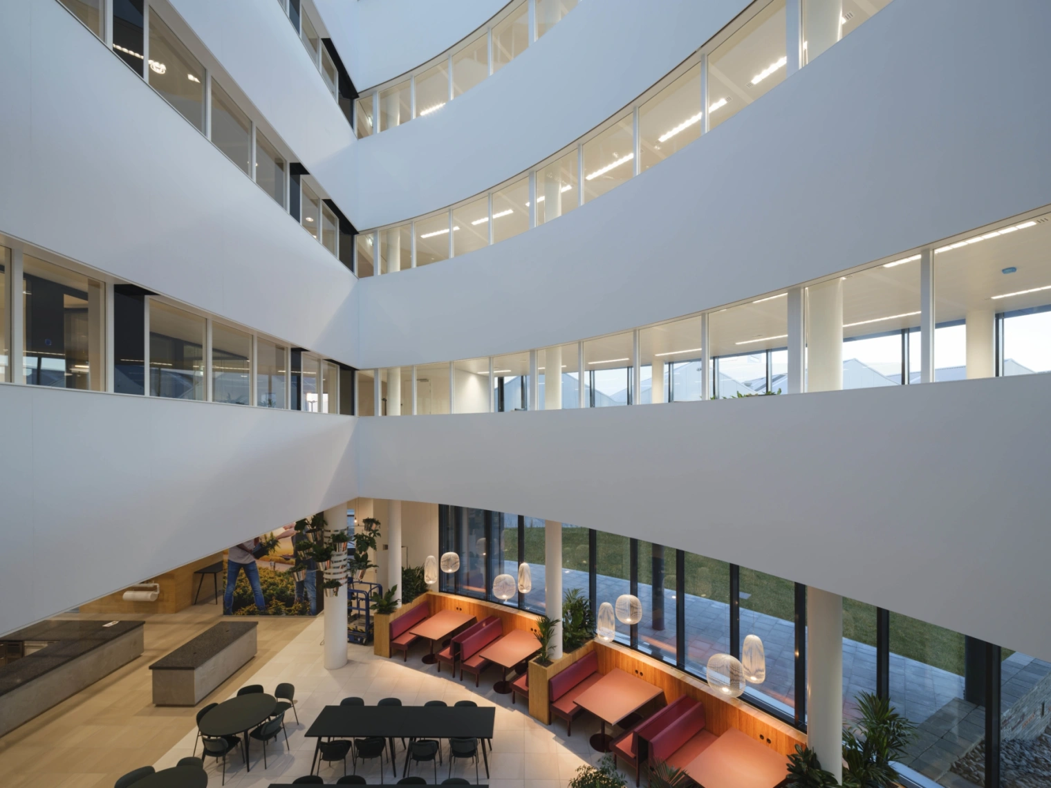 31b Royal Flora Holland Ossip small 210406 160216