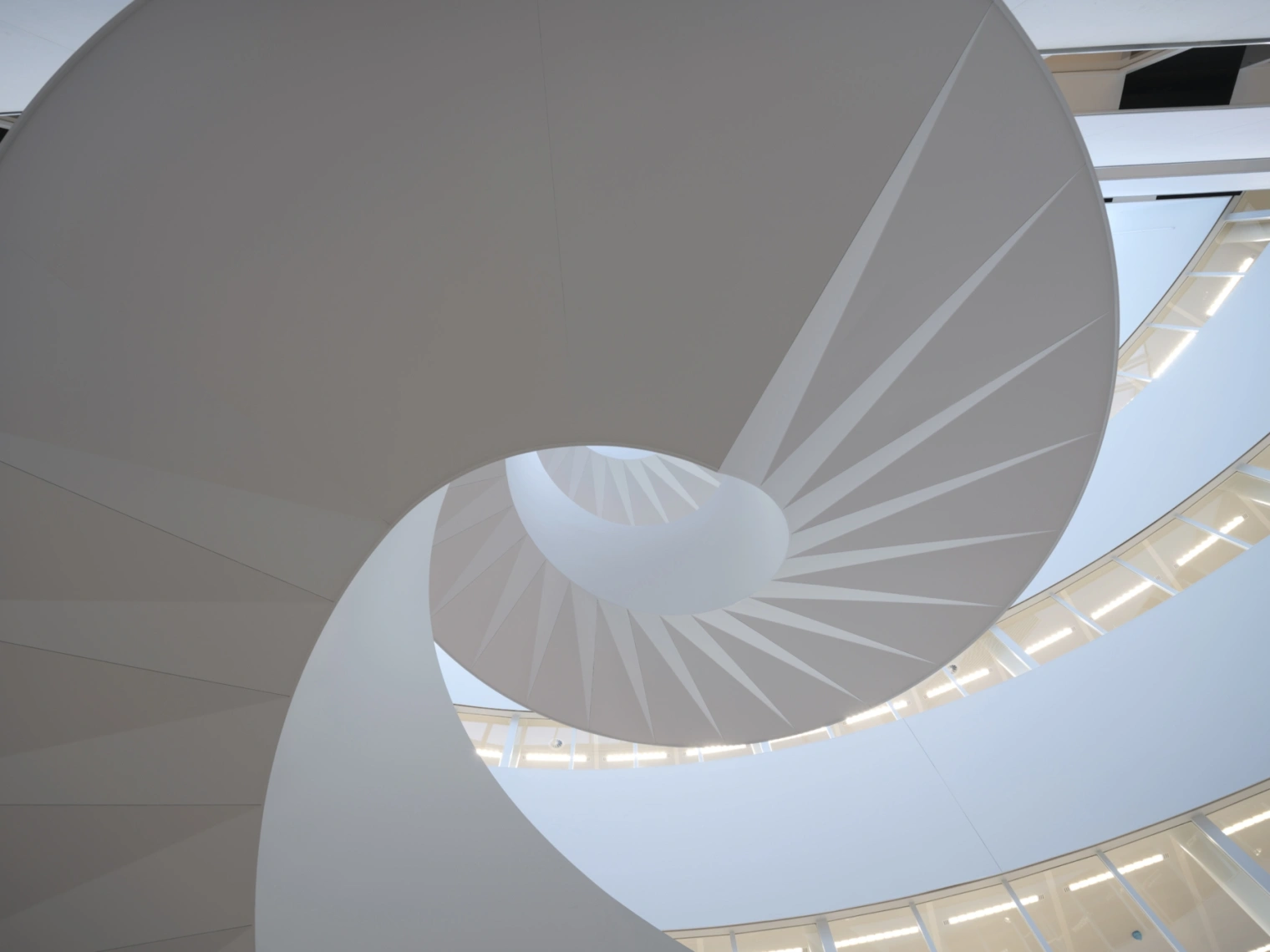 34 Royal Flora Holland Ossip