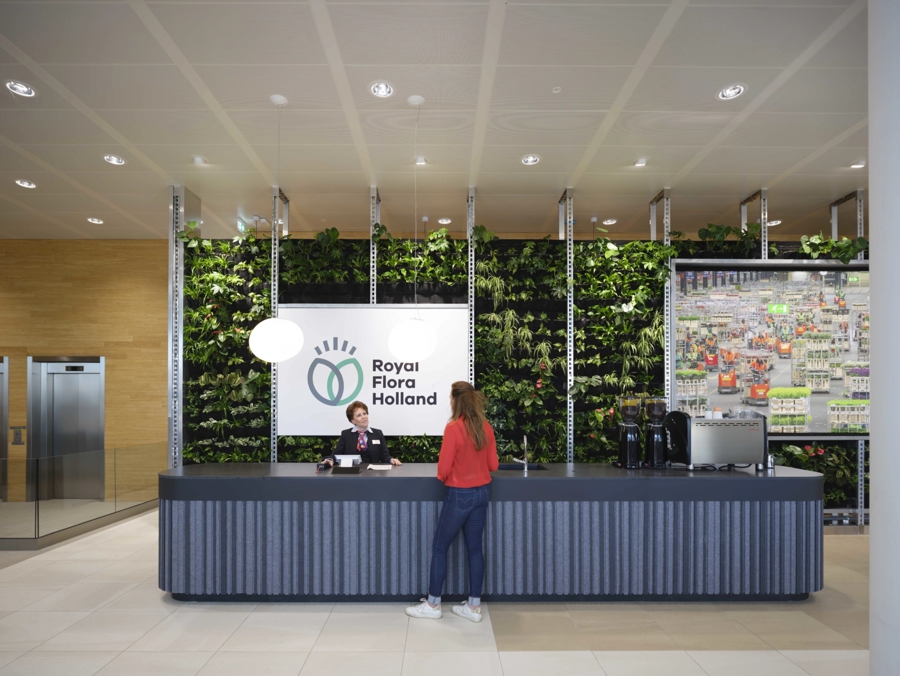 12b Royal Flora Holland Ossip small