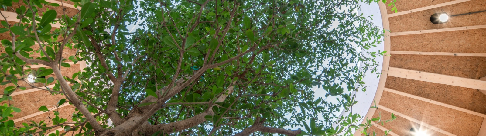 1628 Biosintrum Paul de Ruiter Architects Egbert de Boer 02159