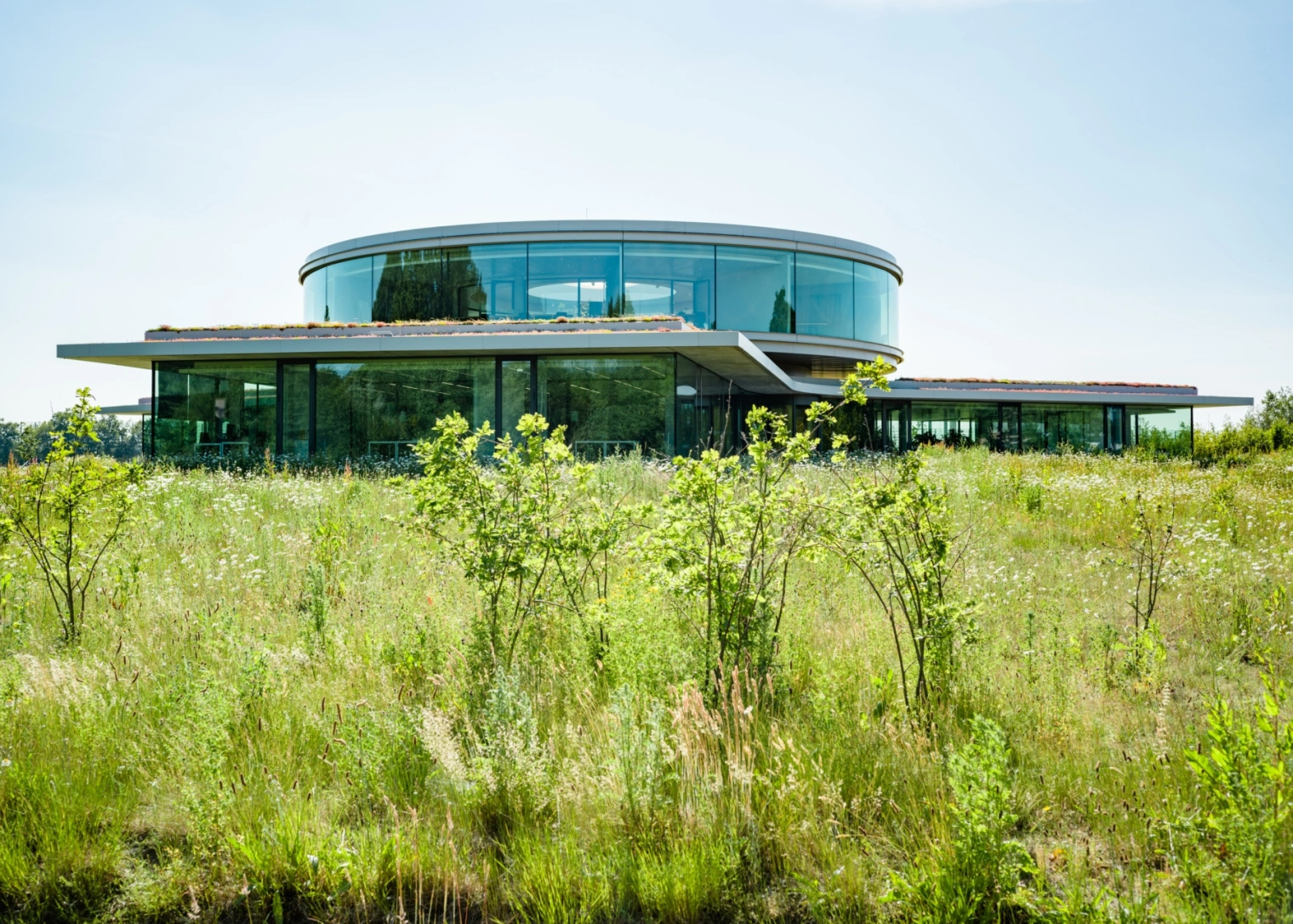 1629 mishaderidder20210614 8594