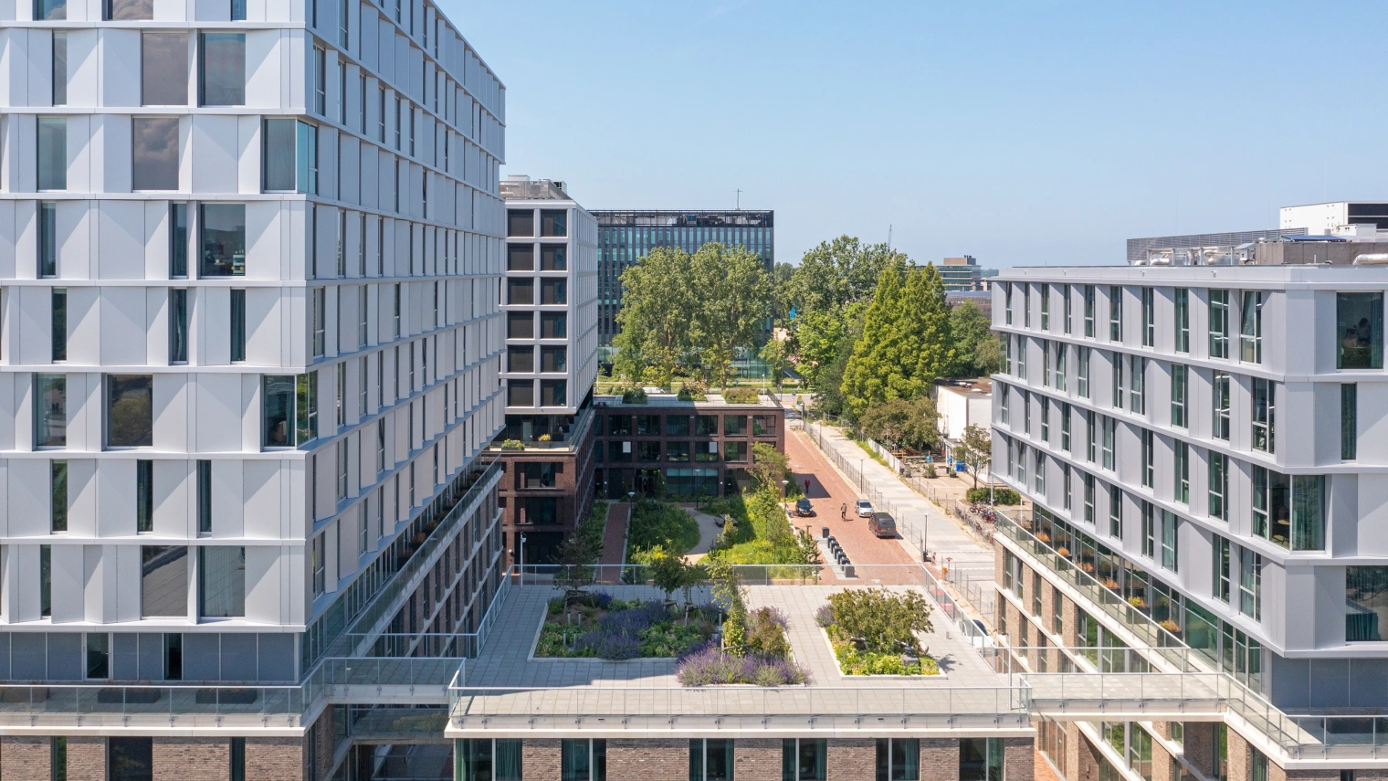 1718 LBSP More 2 Paul de Ruiter Architects Luuk Kramer 14 2