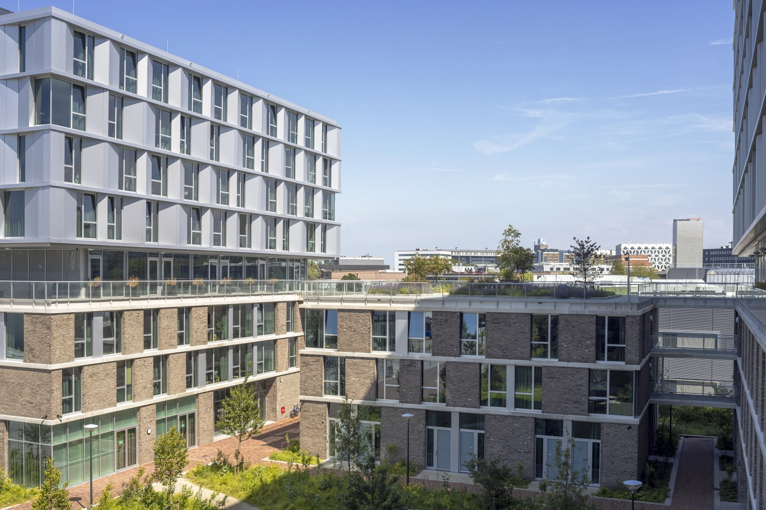 1718 LBSP More 2 Paul de Ruiter Architects Luuk Kramer 107