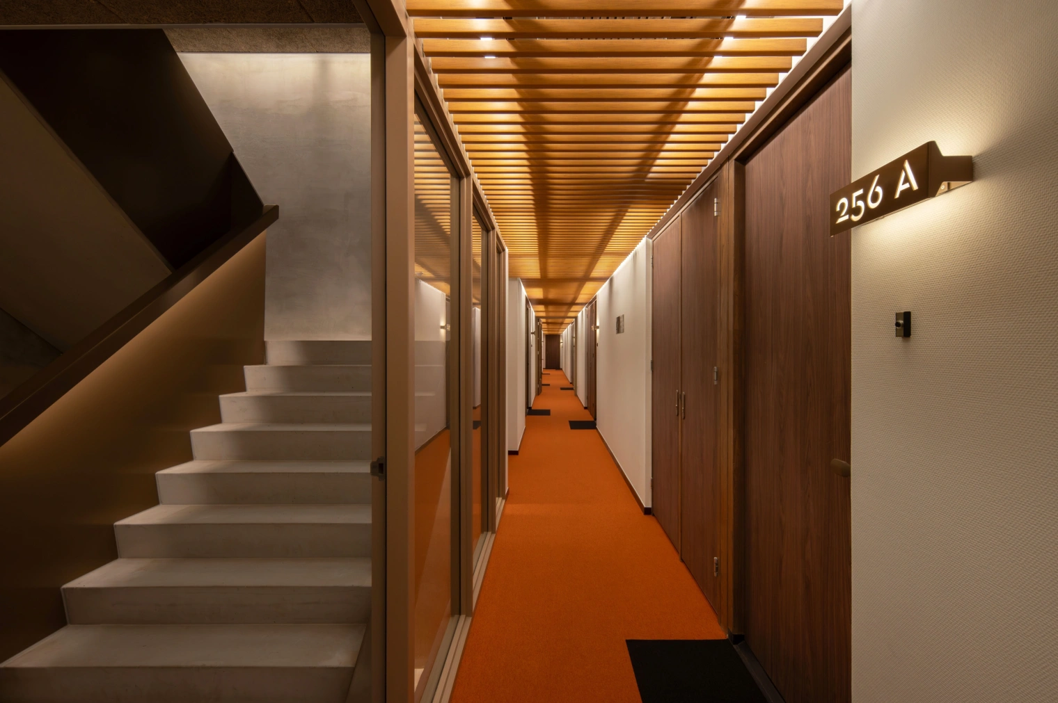 7 Noordsingel 250 Aiste Rakauskaite LQ below 2 MB 6