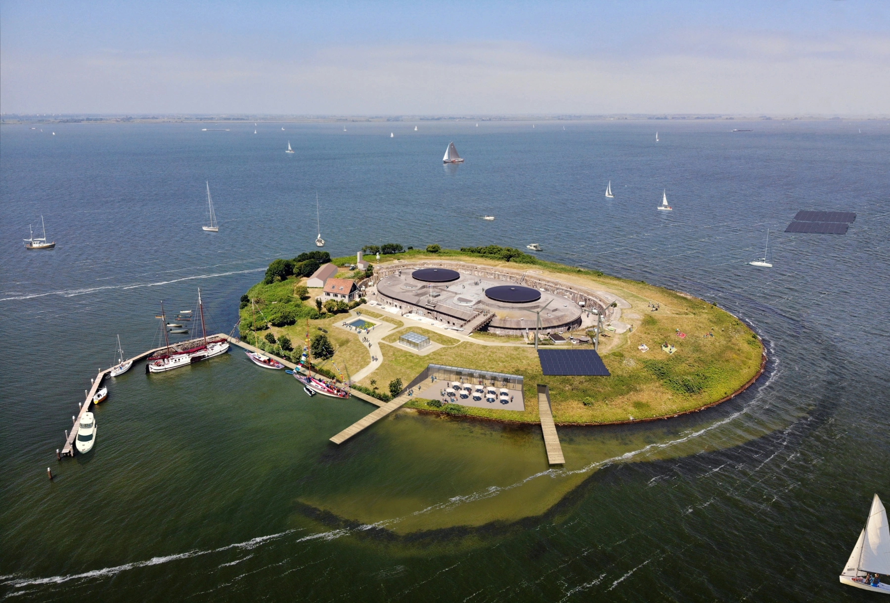 Pampus birdseye3
