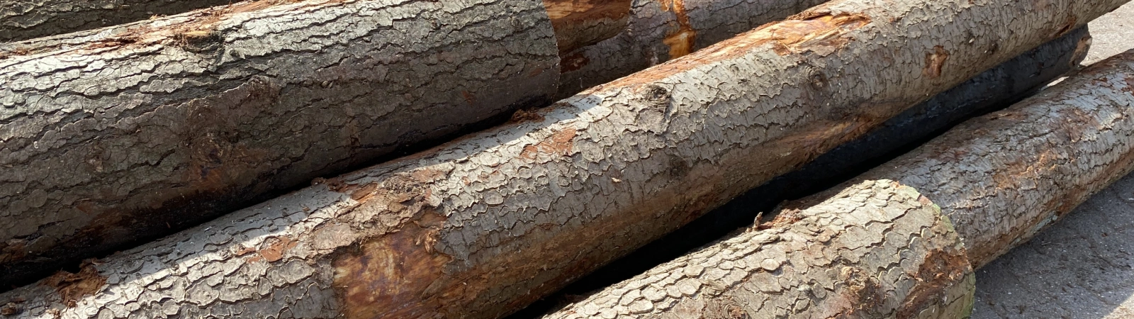 Photo 16 04 2021 14 31 57