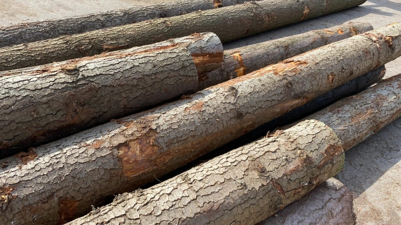 Photo 16 04 2021 14 31 57