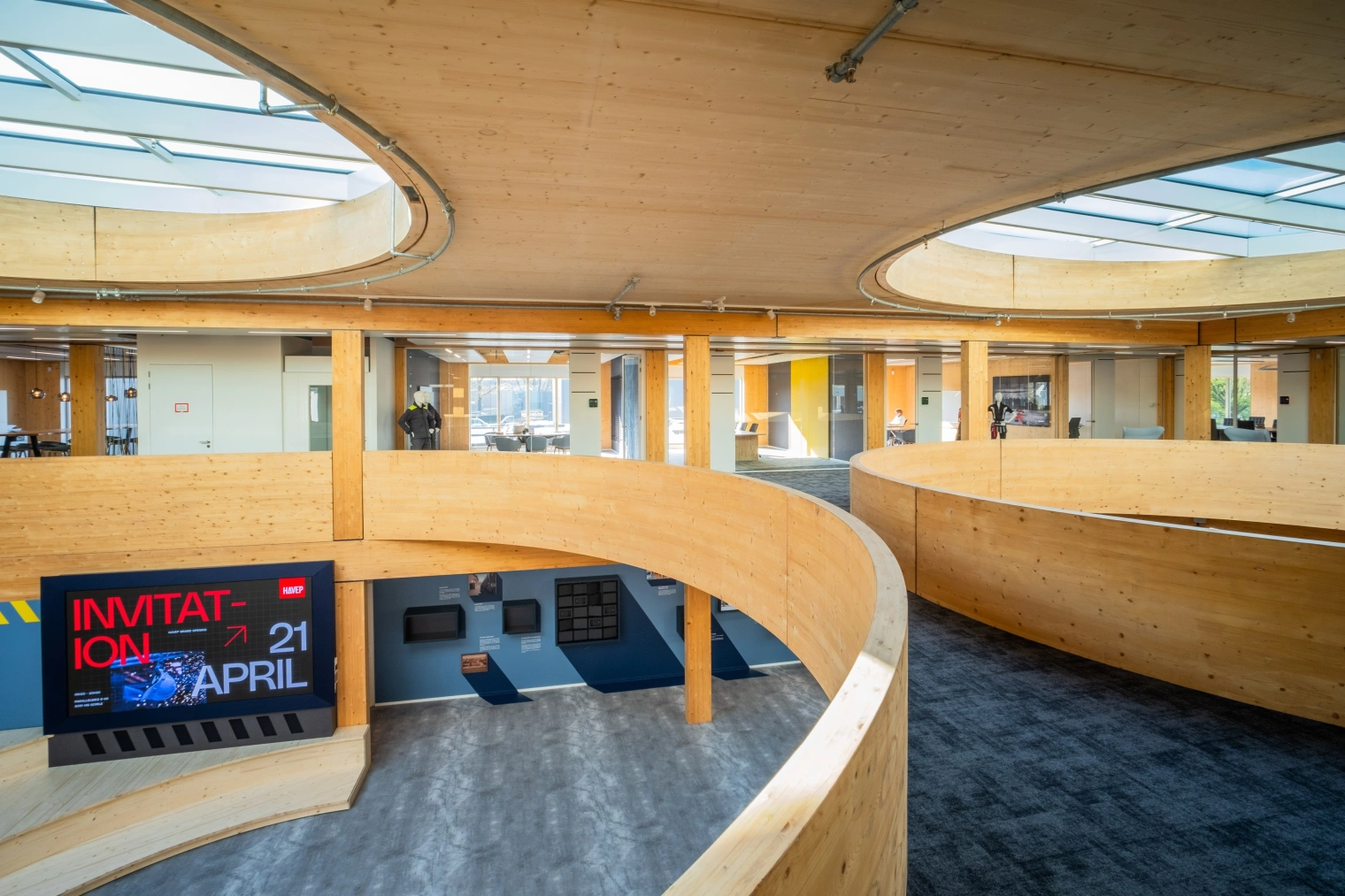 HAVEP Thomas John Kuerten Design 8221 2