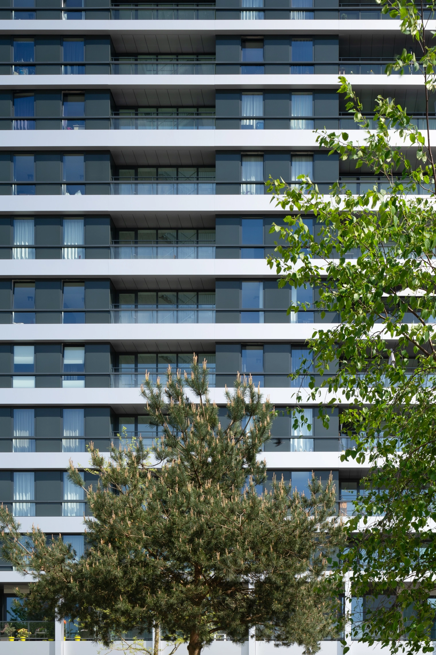 Egbertdeboer com HR20240502 6127