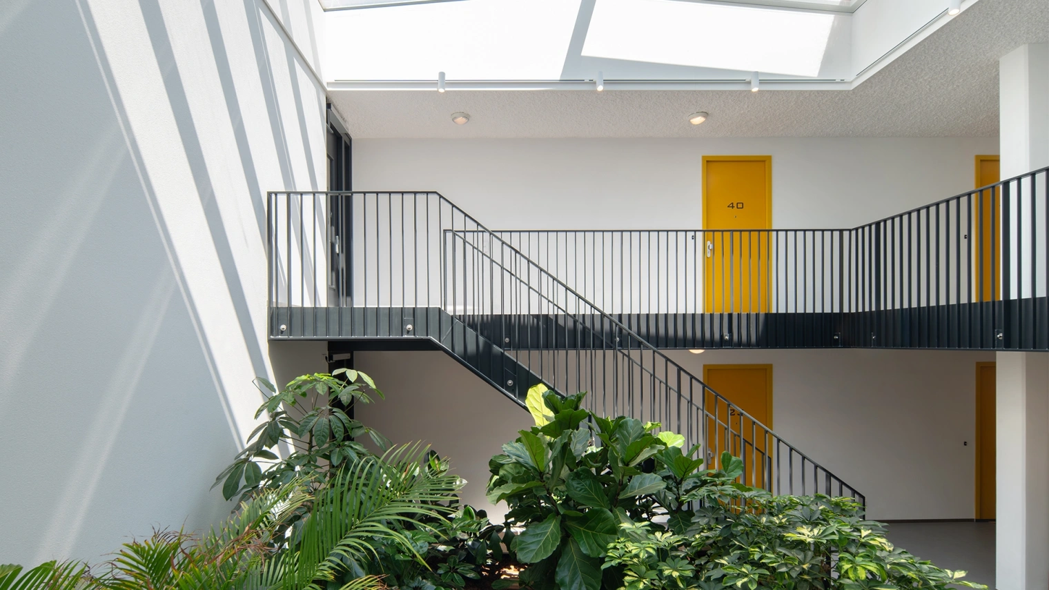 11 Aiste Rakauskaite