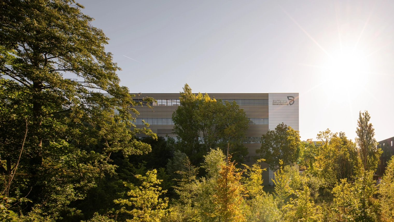 Low res Aiste Rakauskaite 4